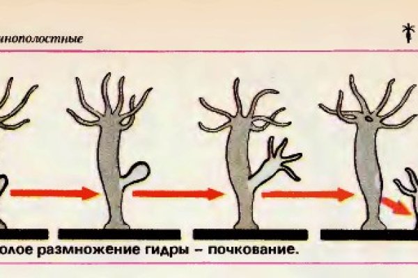 Купить наркотики томск