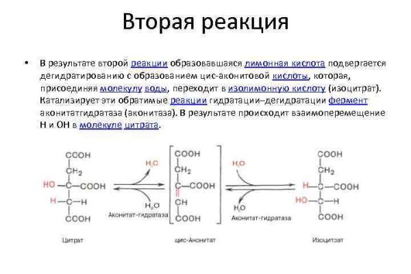 Почему не работает кракен сегодня