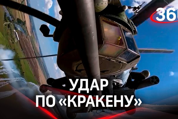 Kraken official