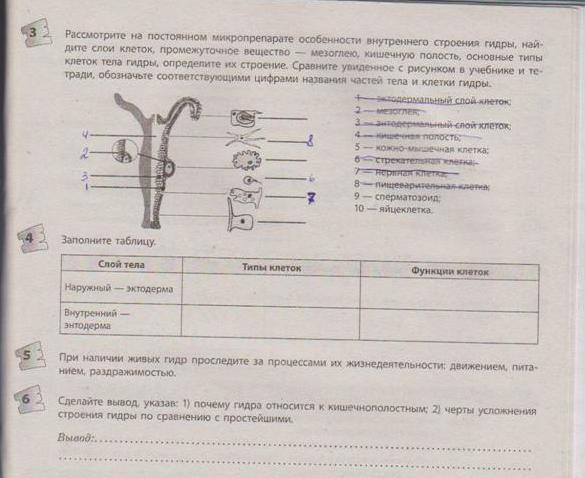 Кракен сайт дарк нет