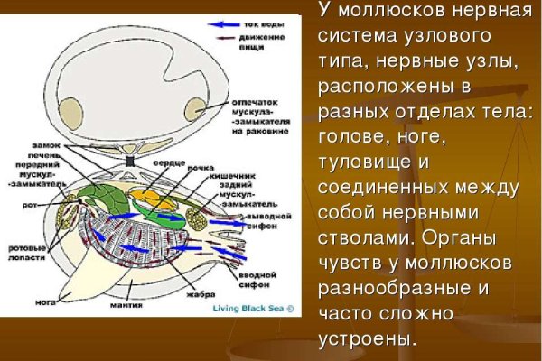 Кракен даркнет как зайти